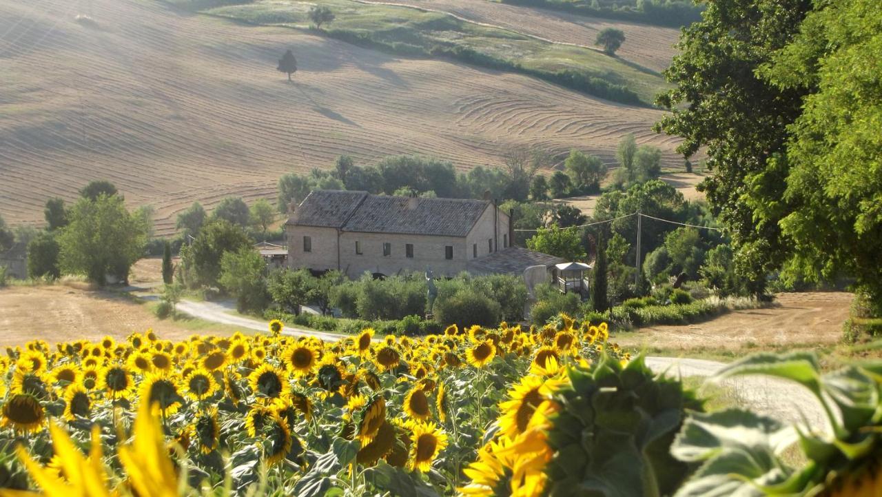 "La Casa Degli Ulivi Art B&B" Trecastelli Exterior foto